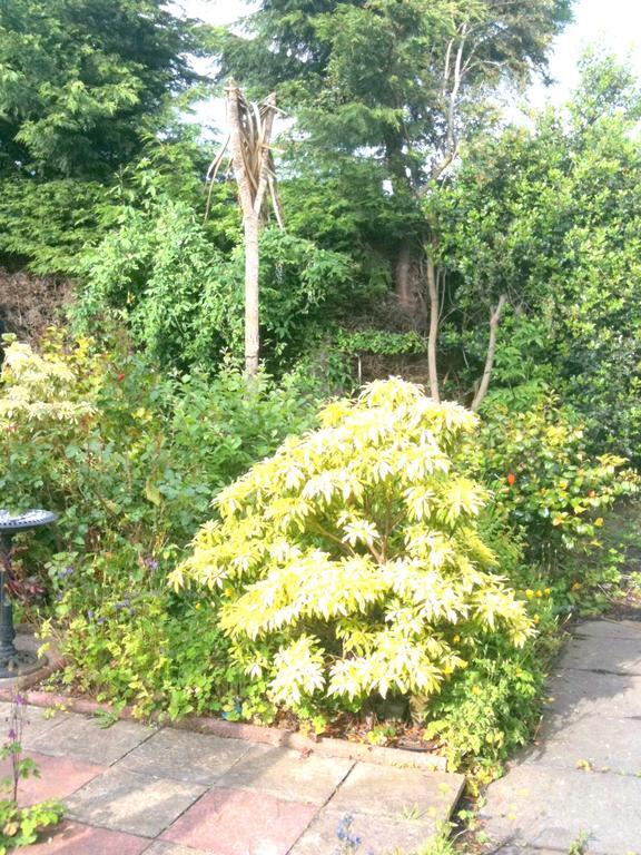 Almond House B&B Edinburgh Luaran gambar