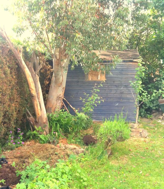 Almond House B&B Edinburgh Luaran gambar